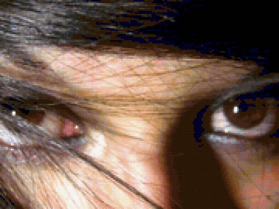 глаза - восток - предпросмотр