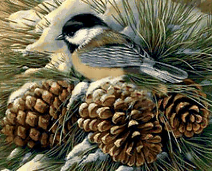 МАЛЕНЬКОЙ ПТИЧКЕ ХОЛОДНО ЗИМОЙ - снег, птицы, шишки, зима, новый год, ветка - предпросмотр