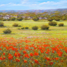 Схема вышивки «Цветочные поля»