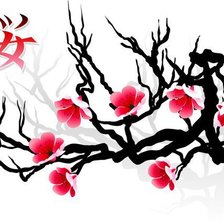 Схема вышивки «virág»