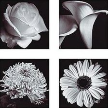 Схема вышивки «Полиптих монохром»