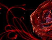 Схема вышивки «роза»