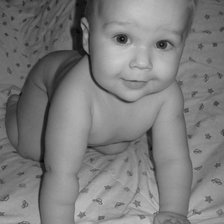 Схема вышивки «Ник»