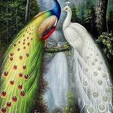 Схема вышивки «Пара»