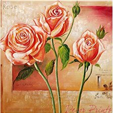 Схема вышивки «rózsa»