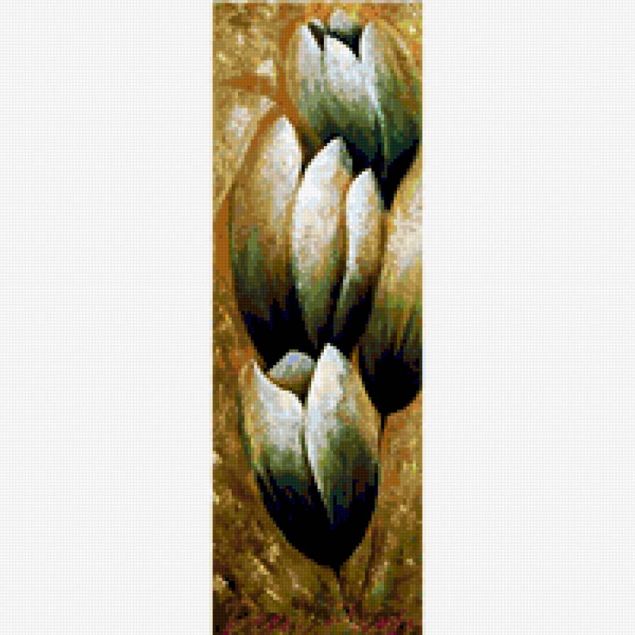 Tulipán - предпросмотр