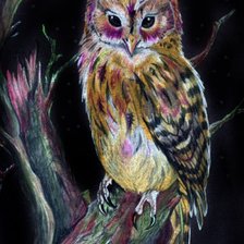 Схема вышивки «сова»