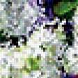 Предпросмотр схемы вышивки «Сирень 4» (№231949)
