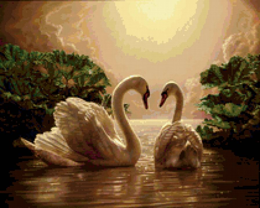 Лебединное озеро - природа, берег, пара, озеро, любовь, лебеди - предпросмотр