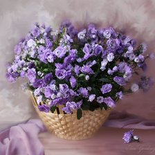 Схема вышивки «№232071»