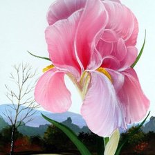 Схема вышивки «ирисы»