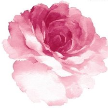 Схема вышивки «пион»