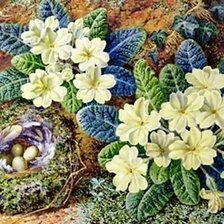 Схема вышивки «№232154»