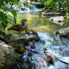 Схема вышивки «№232160»