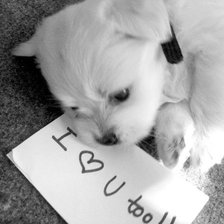 Схема вышивки «кроха»