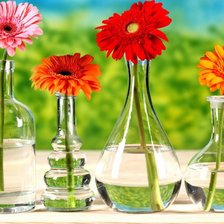 Схема вышивки «№232294»