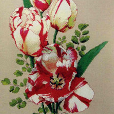 Схема вышивки «маки»