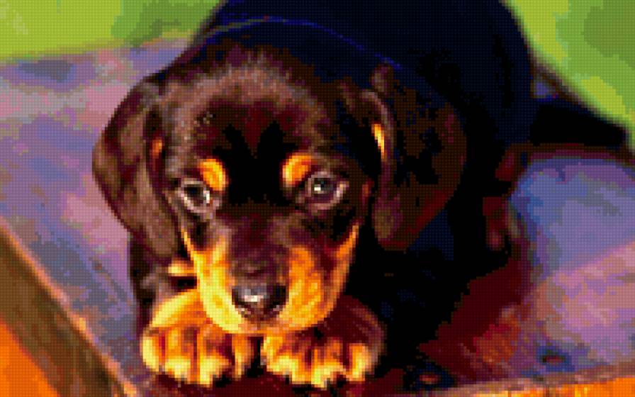 №232314 - предпросмотр