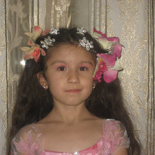 Схема вышивки «карина»