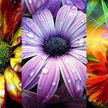 Схема вышивки «прелесть»