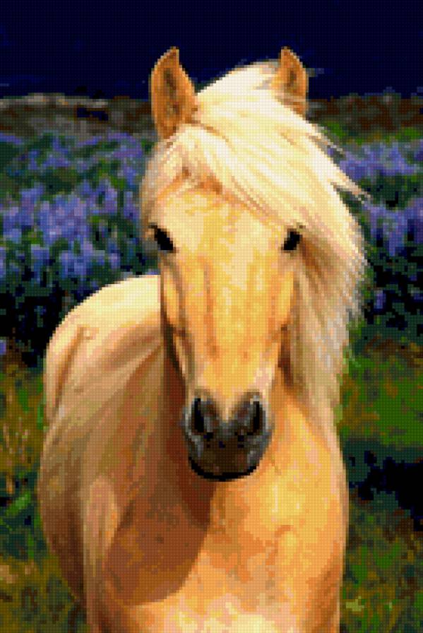 Лошадь - животные, лошади - предпросмотр