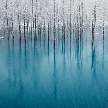 Схема вышивки «отражение в воде»