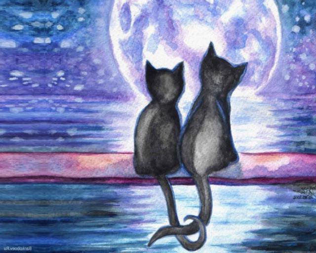 Любовь - коты, закат, любовь - оригинал