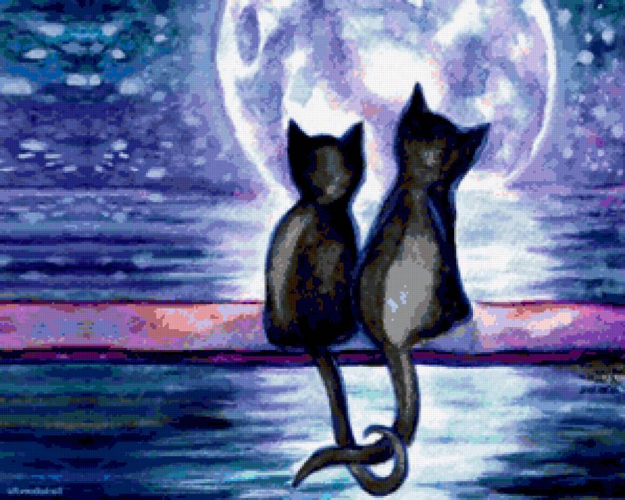 Любовь - закат, любовь, коты - предпросмотр