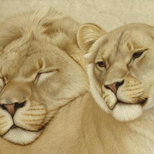 Схема вышивки «лев»