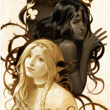 Схема вышивки «Черное и белое»