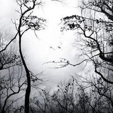 Схема вышивки «Лик природы»