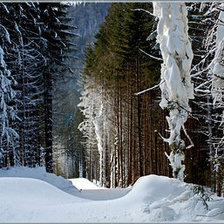 Схема вышивки «Просека»
