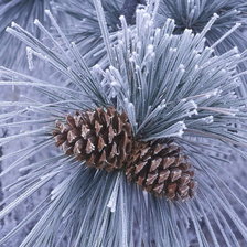 Схема вышивки «Зимний пейзаж»