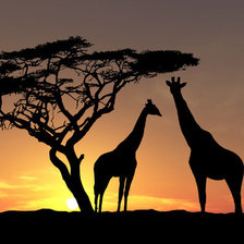 Схема вышивки «сахара»