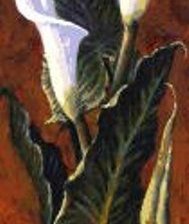 Схема вышивки «kála»