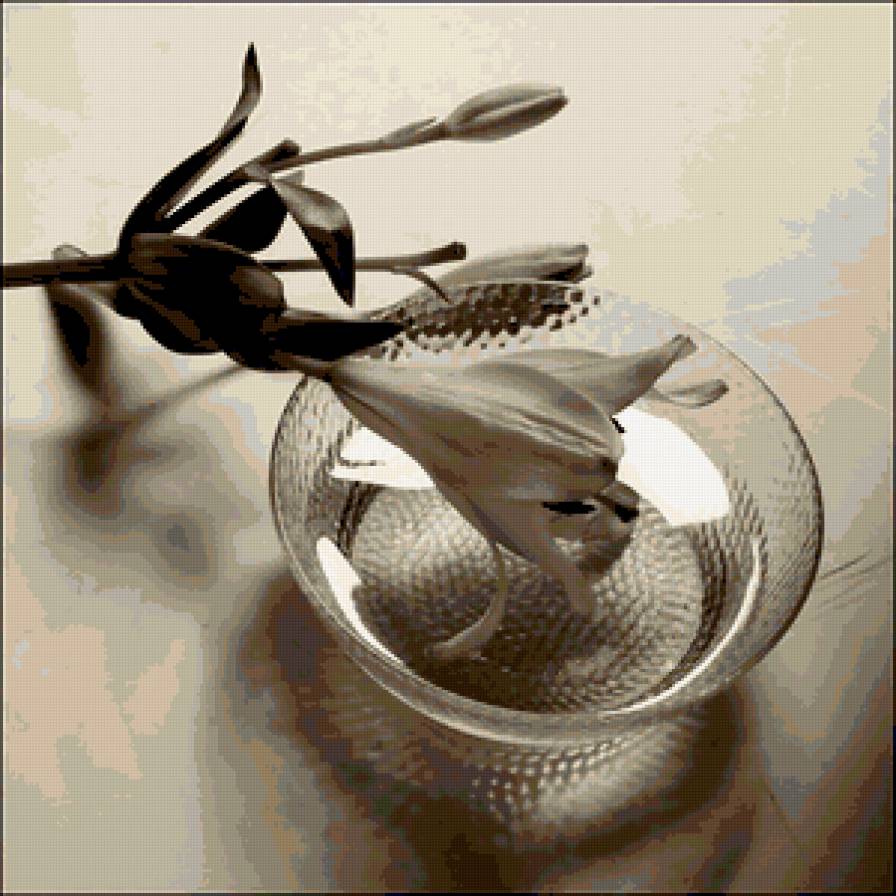 лилия - цветок, лилия, черно-белое - предпросмотр