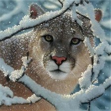 Схема вышивки «Пума»