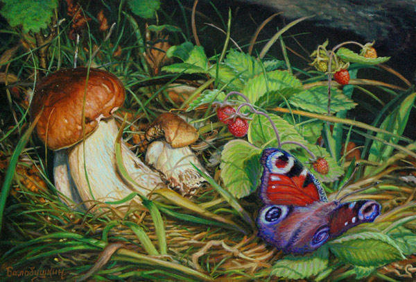 в лесу - бабочка, грибы, природа, ягоды - оригинал