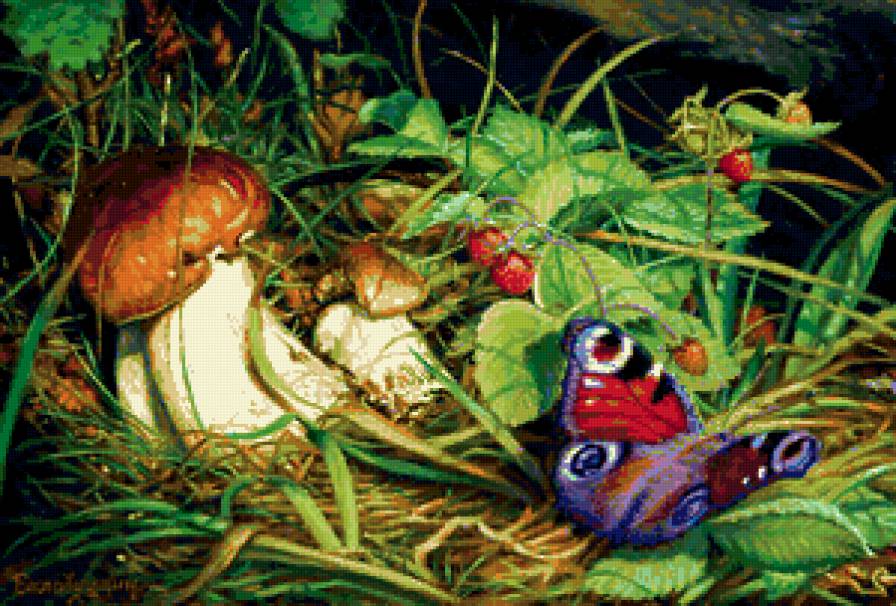 в лесу - ягоды, грибы, бабочка, природа - предпросмотр