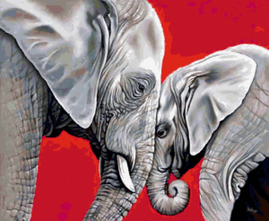 слоны - слоны, животные - предпросмотр