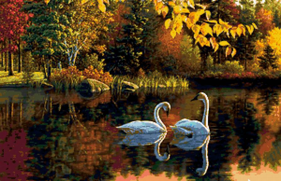 лебединая пара - лебеди, природа - предпросмотр