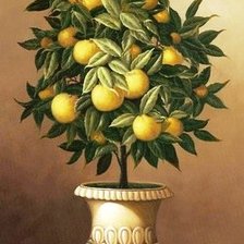 Схема вышивки «№233496»