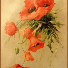 Схема вышивки «маки»