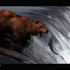 Схема вышивки «Медведь за ловлей рыбы»