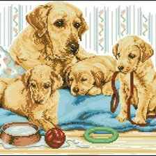 Схема вышивки «семья лабрадор»