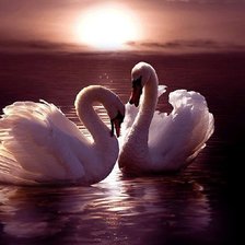 Схема вышивки «лебеди»