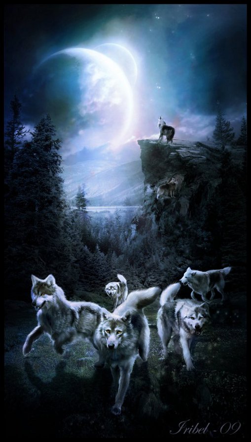 Стая - волки - оригинал