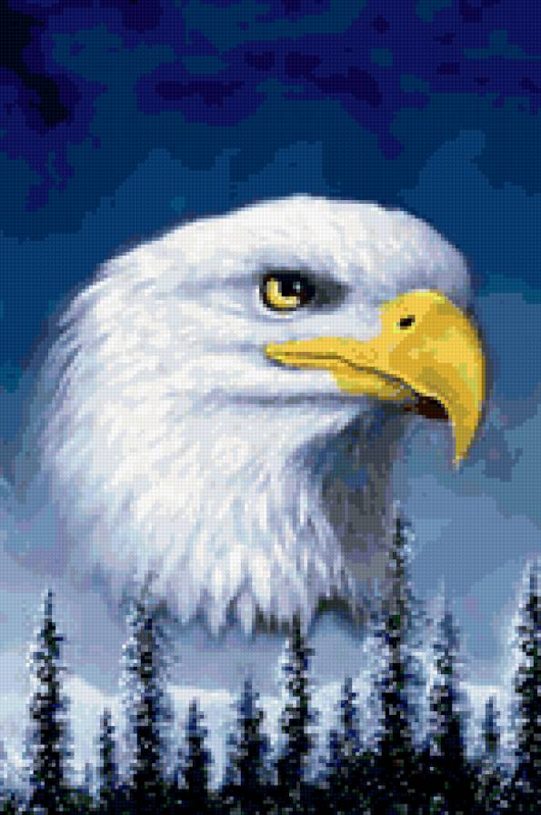 Дети Природы. Орел - анималисты, животные, живопись, орел, птицы, картина - предпросмотр