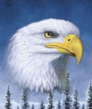 Схема вышивки «Дети Природы. Орел»