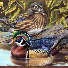 Схема вышивки «УТКИ»